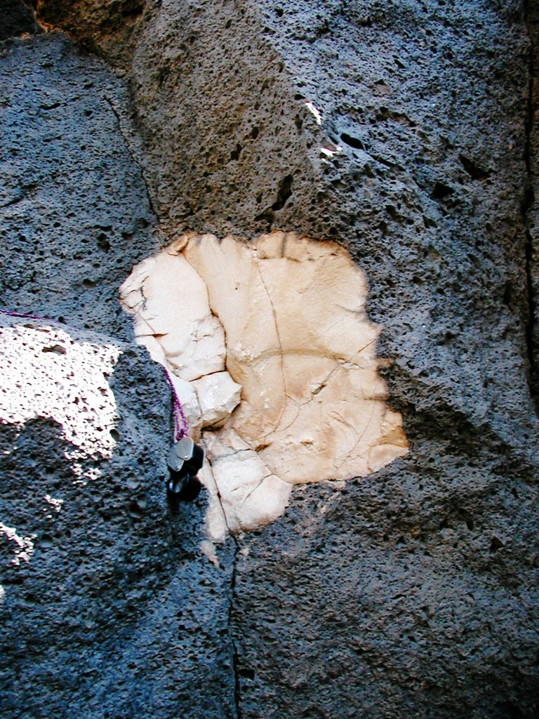 p5242500e.jpg (large)