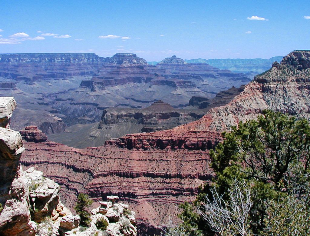 p5252573e.jpg (large)