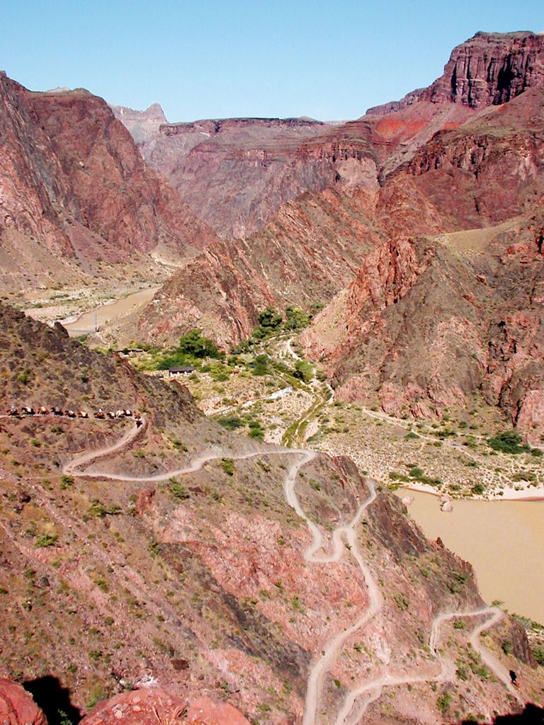 p5262656e.jpg (large)