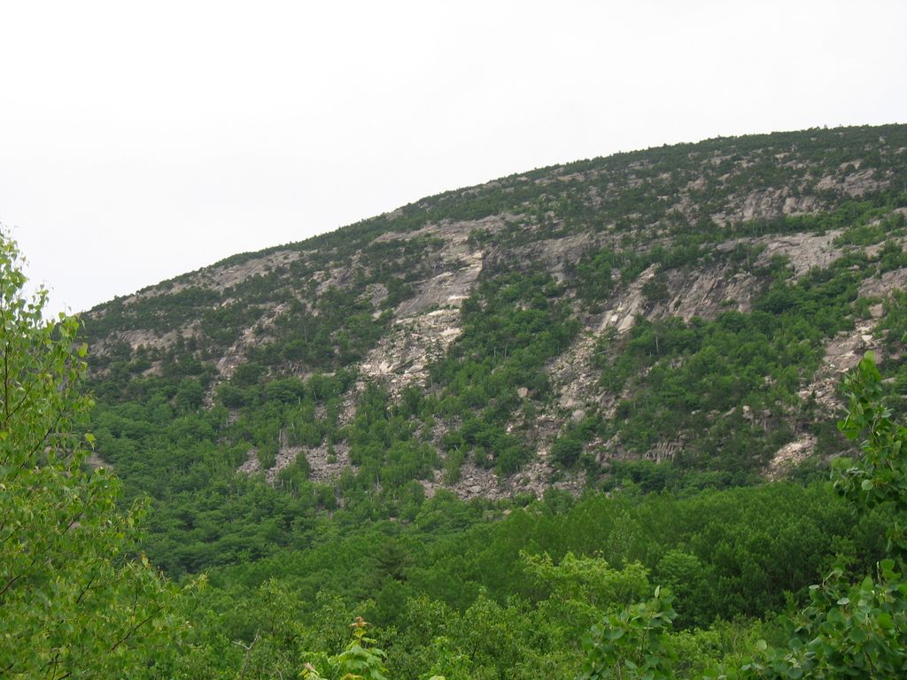 img_0068b_img_0305.jpg (large)