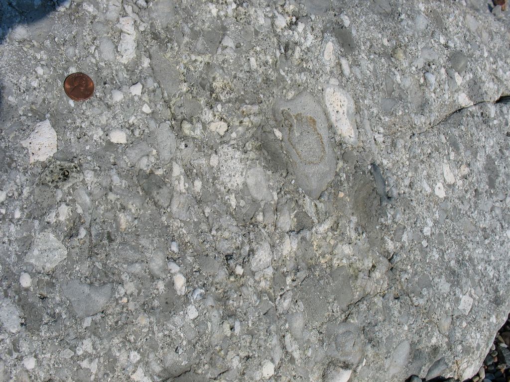 img_0202.jpg (large)