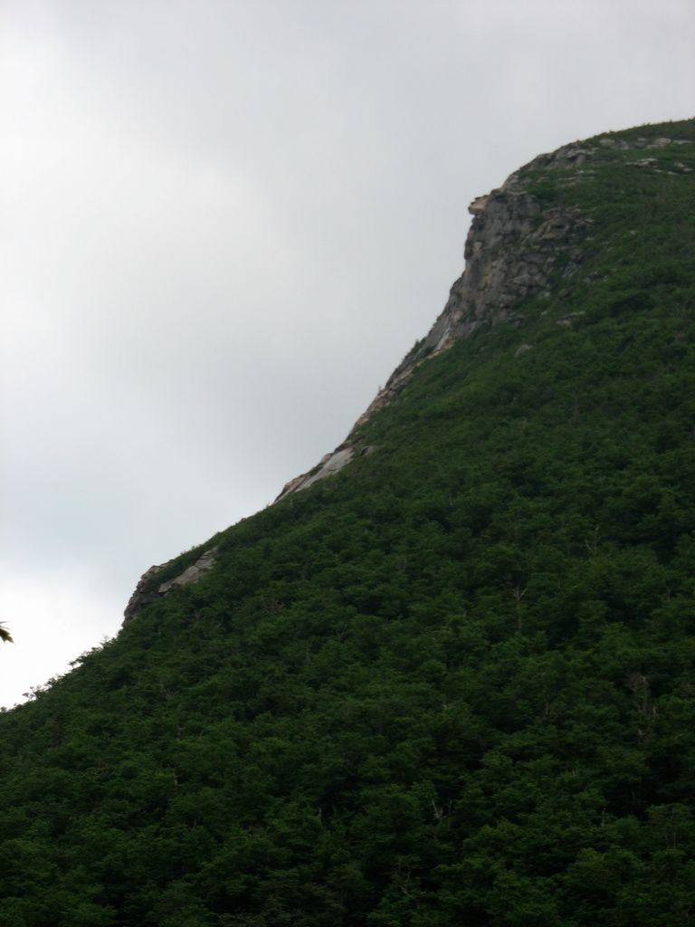 img_0364b_img_0353.jpg (large)